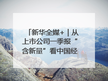 新华全媒+｜从上市公司一季报“含新量”看中国经济发展向“新”